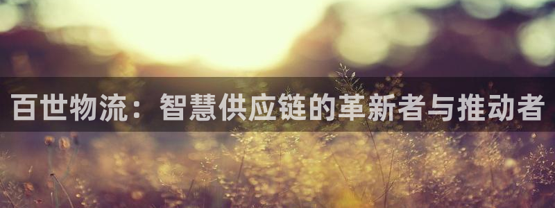 超凡国际官网入口pc29官网版：百世