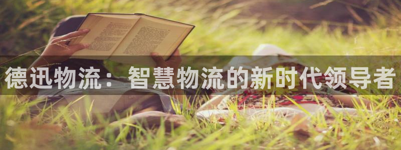 超凡国际网赌案件：德迅物流：智慧物流