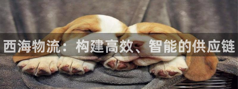 超凡国际注册平台：西海物流：构建高效