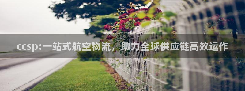 超凡国际推广链接是多少个：ccsp:一站式航空物流，助力全球