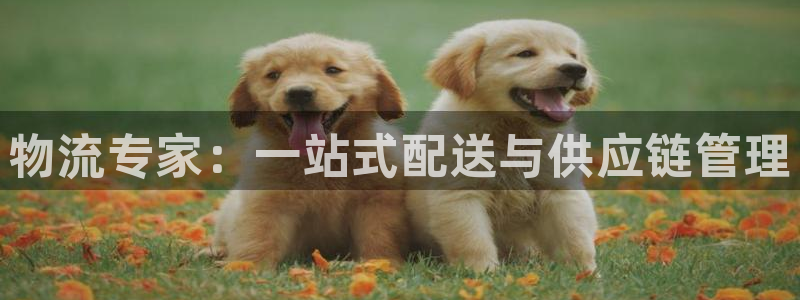 超凡国际官网入口pc29官网版下载：