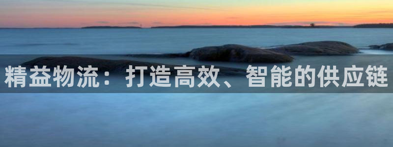 超凡国际加拿大技巧：精益物流：打造高