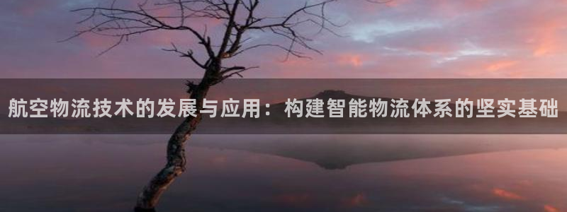 超凡国际软件：航空物流技术的发展与应