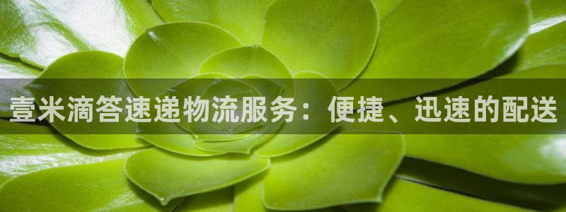 超凡国际加拿大走势：壹米滴答速递物流