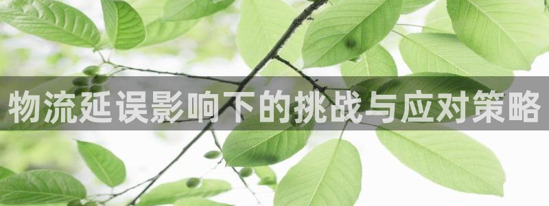 超凡国际注册地址：物流延误影响下的挑