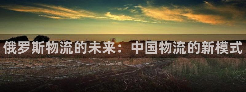 超凡国际注册网址百度知道：俄罗斯物流