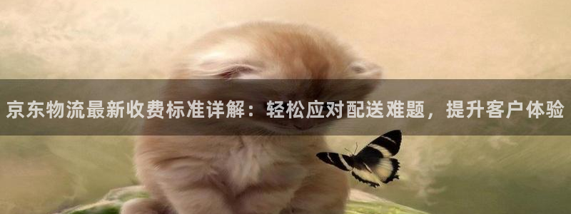 超凡国际合法吗：京东物流最新收费标准