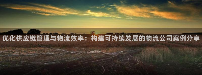 超凡国际官网平台：优化供应链管理与物