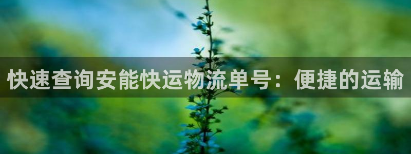 超凡国际注册与教程：快速查询安能快运