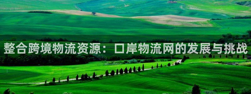 超凡国际官方网站是多少：整合跨境物流