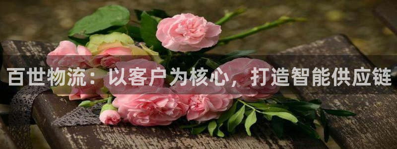 超凡国际官网入口pc预测：百世物流：