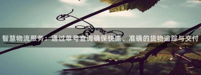 超凡国际注册限制怎么解除：智慧物流服