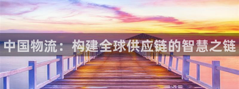 超凡国际稳吗：中国物流：构建全球供应