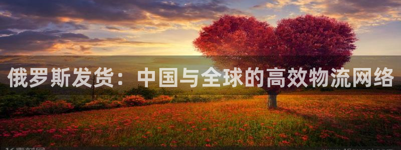 超凡国际游戏：俄罗斯发货：中国与全球