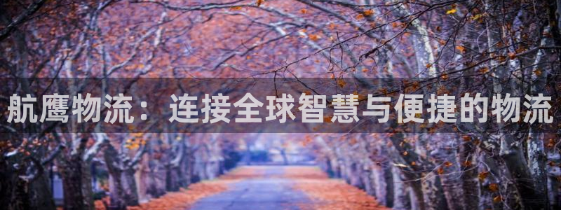 超凡国际不给提现：航鹰物流：连接全球