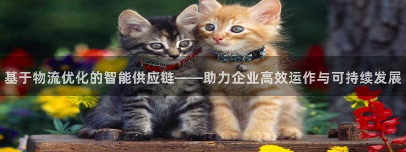 超凡国际注册号：基于物流优化的智能供
