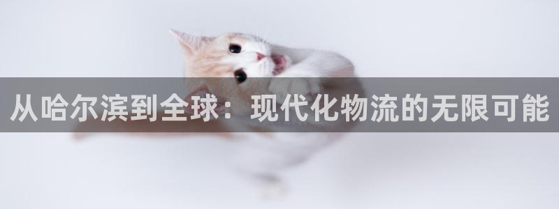 超凡国际为什么打不开：从哈尔滨到全球
