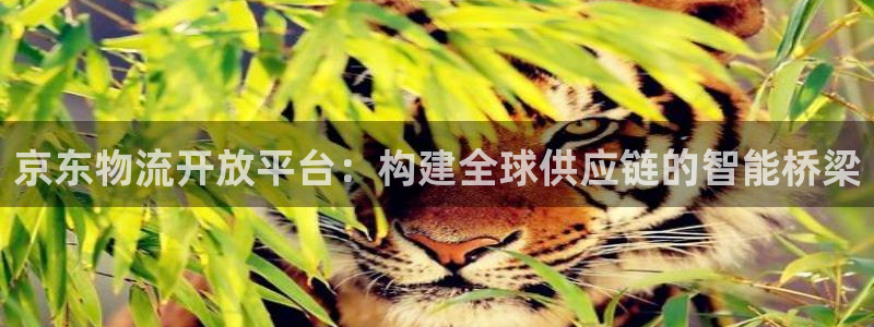 超凡国际v6能卖多少：京东物流开放平