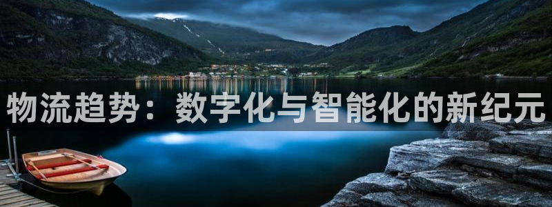 加拿大超凡国际是什么：物流趋势：数字